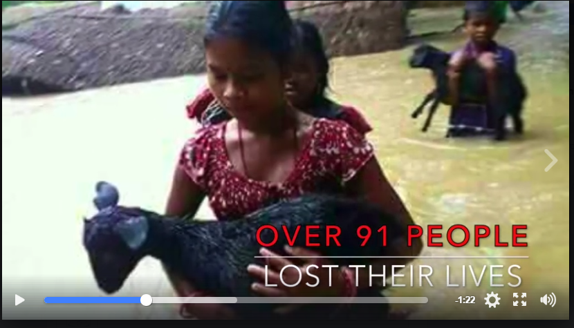 THRD Alliance ” Flood Awareness Campaign Video”